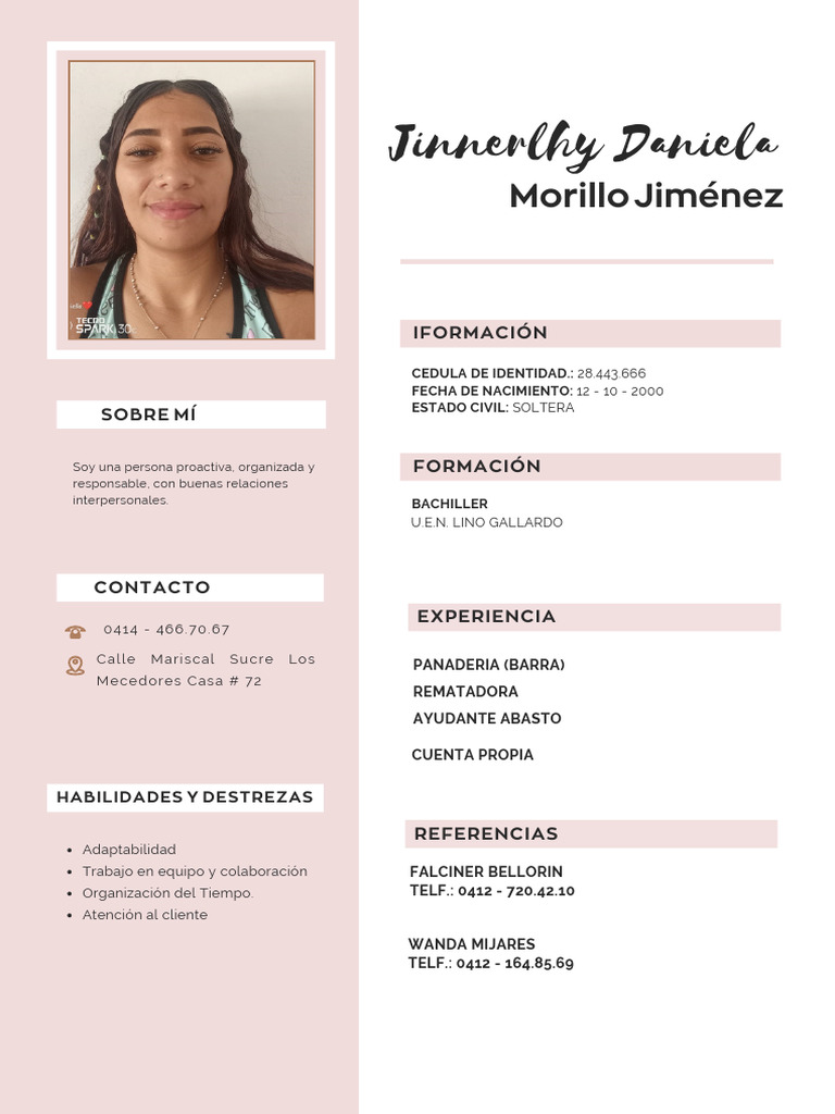 Currículum Vitae CV Diseñadora y Arquitecta Minimalista Rosa | PDF