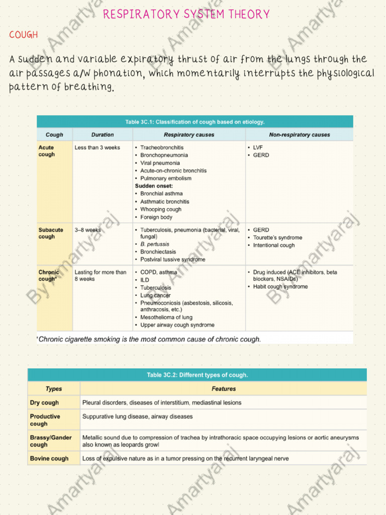 Respiratory System Examination Overview | PDF | Thorax | Lung