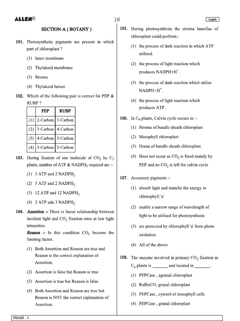 4-Class Test 2024 | PDF