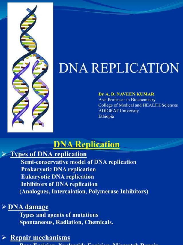 Dna Replication | PDF