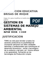 Sintesis de La Titulacion de Gestion Ambiental