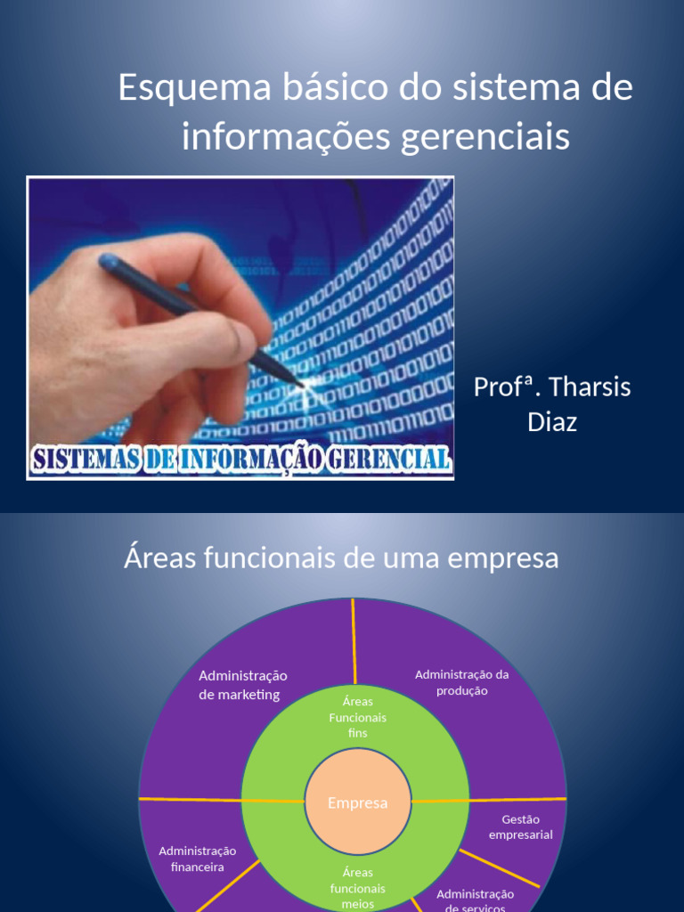 Esquema Básico Do Sistema de Informações Gerenciais | PDF ...