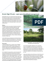 Brede High Woods - Open Space/Heathland Management