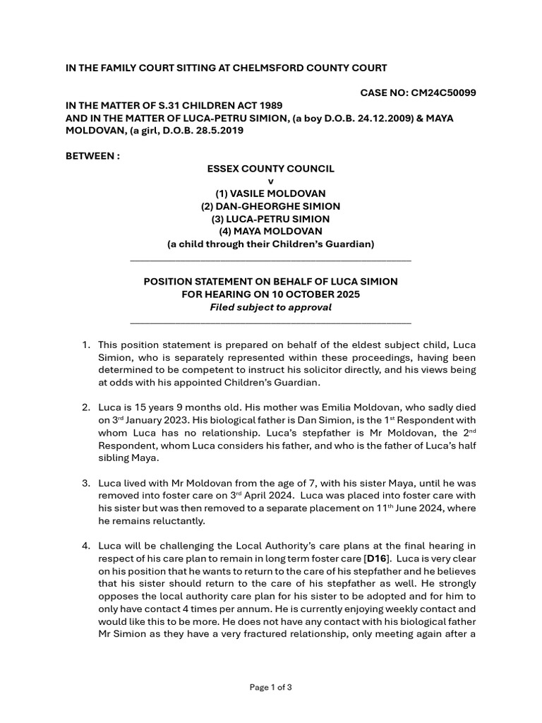 Luca Simion Position Statement for Hearing | PDF | Advocate | Justice