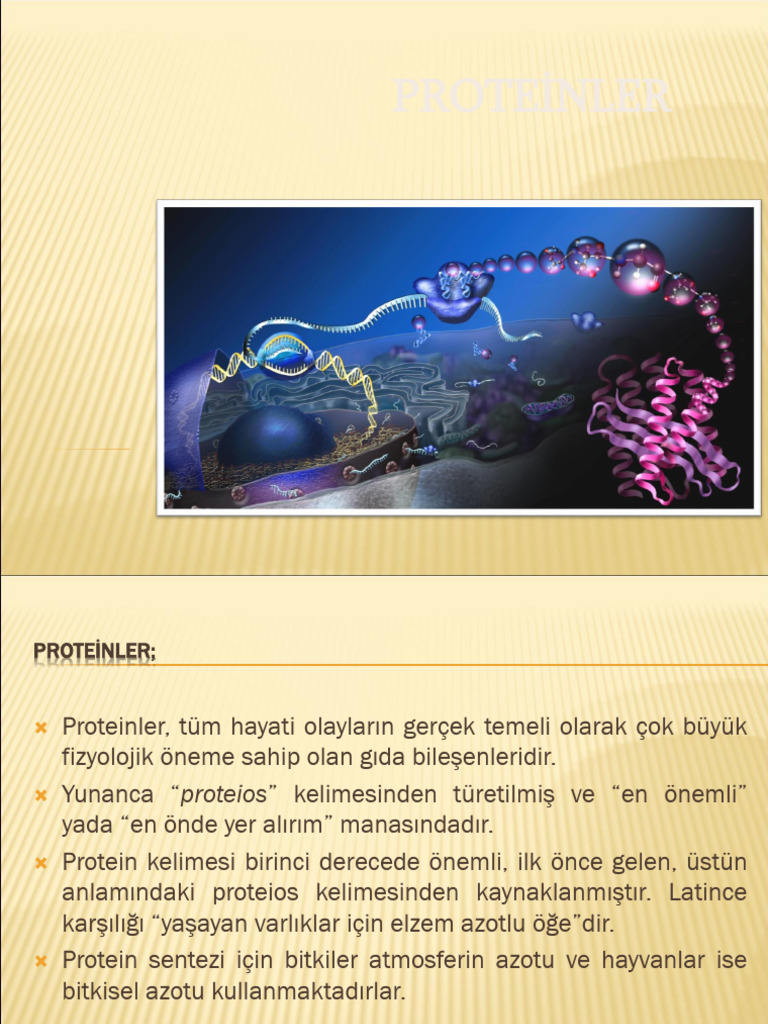 5-6. Hafta Proteinler | PDF