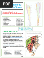 Anatomie et clinique du triangle de Scarpa | PDF | Anatomie de membre ...