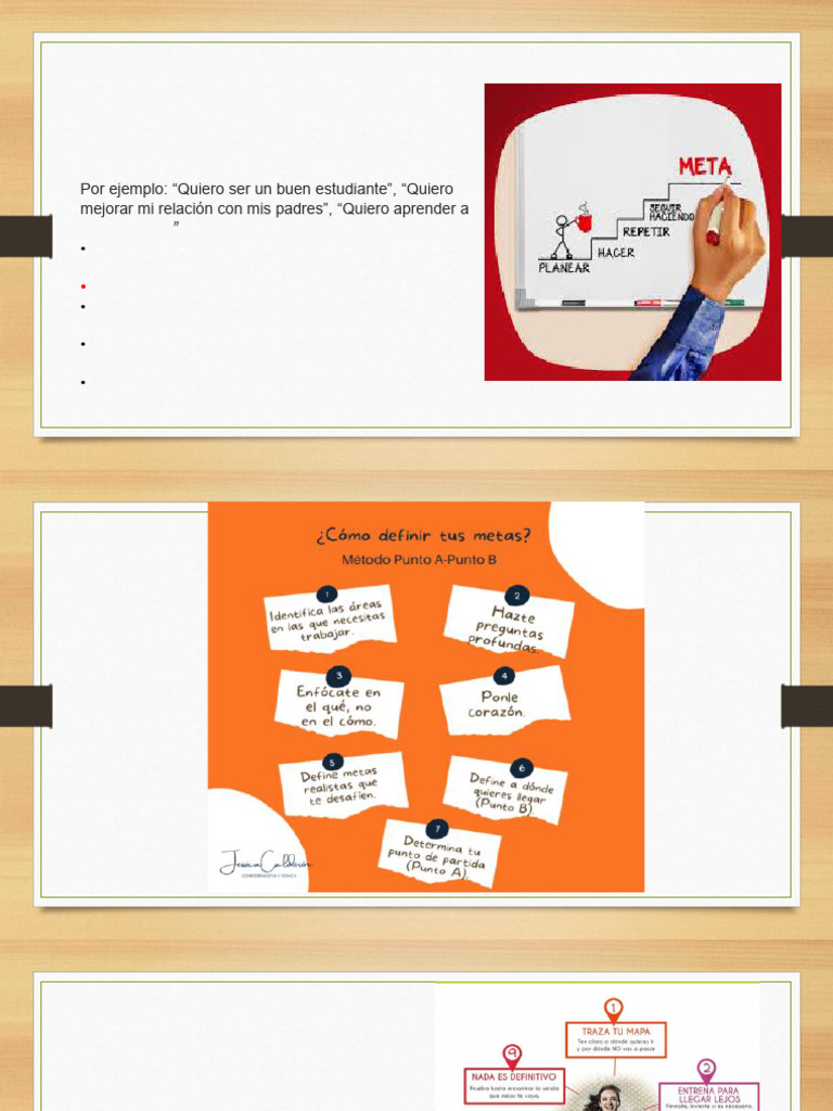 Metas | PDF