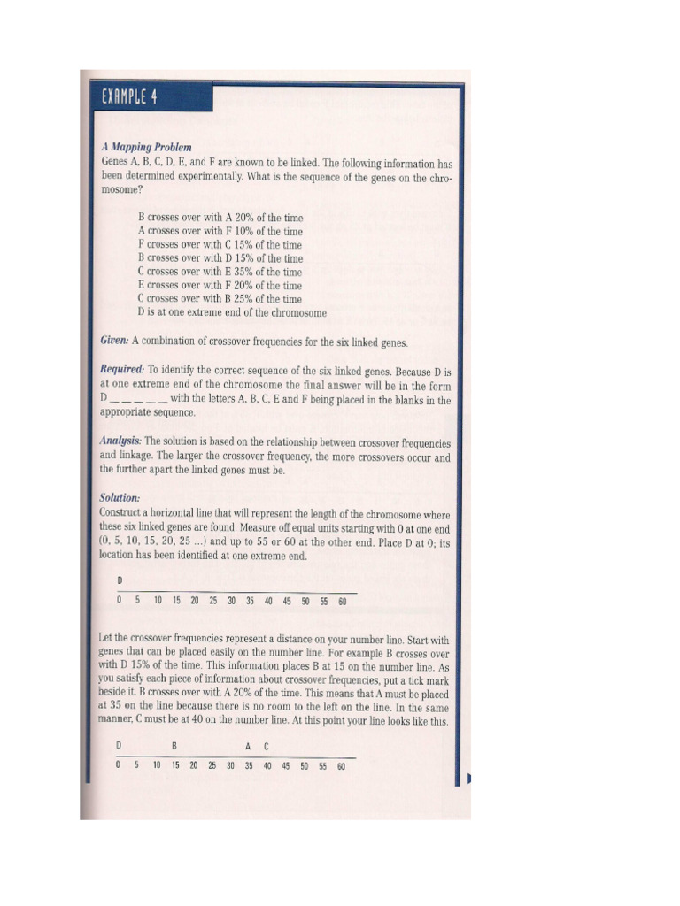 Gen 3 | PDF