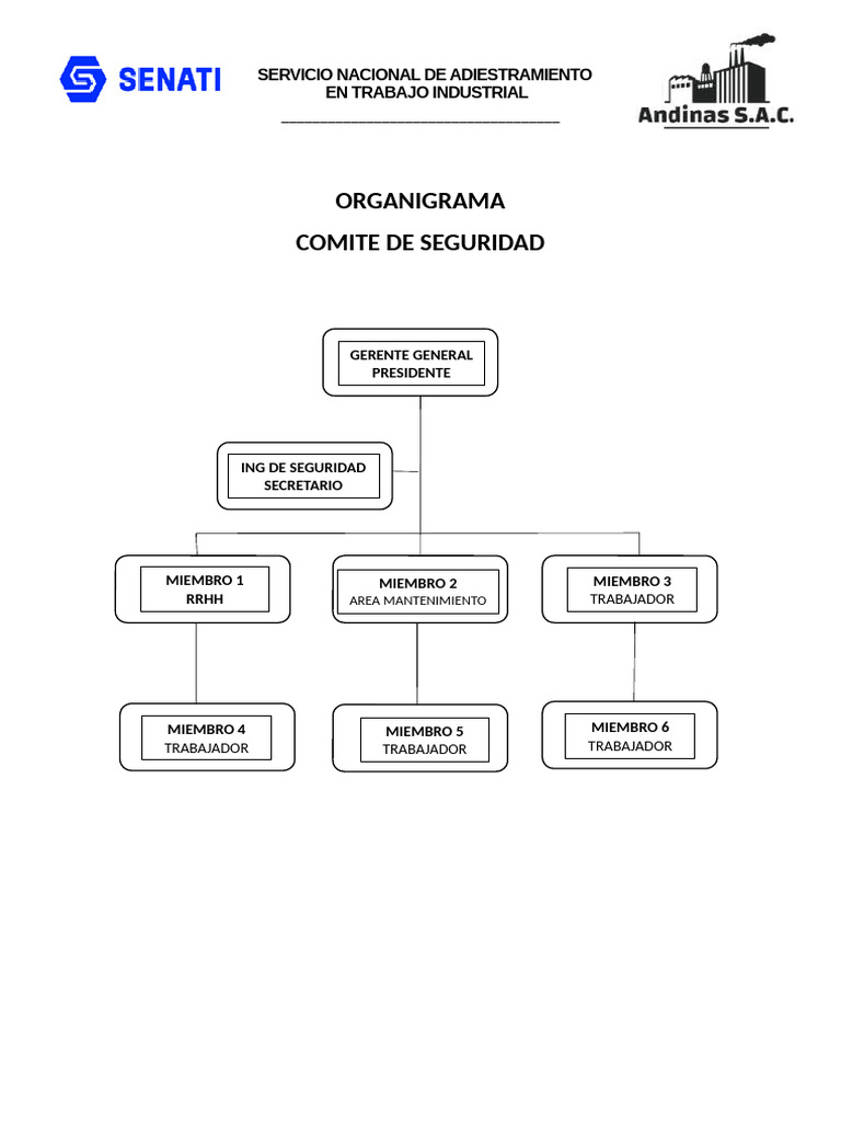Organigrama Comite de Seguridad | PDF
