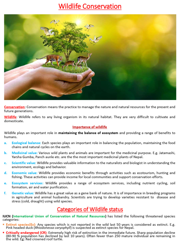 Importance of Wildlife Conservation | PDF | Conservation Biology | Wildlife