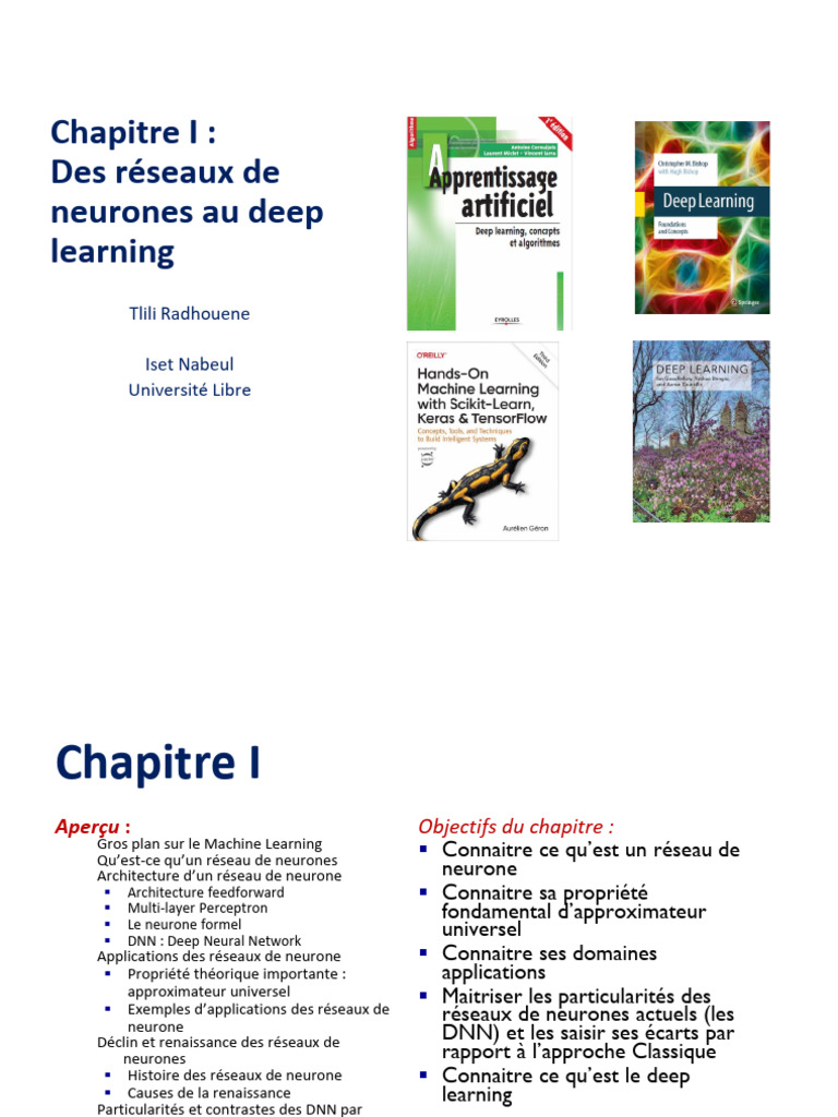 Introduction aux réseaux de neurones et DNN | PDF | Apprentissage ...