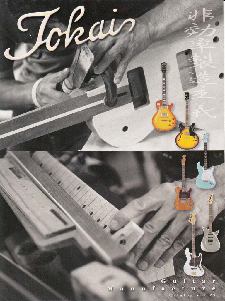 Tokai 2011 | PDF | Celtic Musical Instruments | Irish Musical Instruments