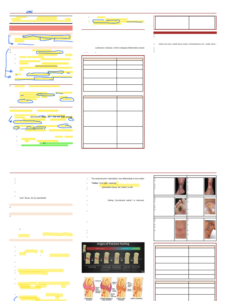 Pretest Post Test Lec Trans Compilation | PDF | Bone | White Blood Cell