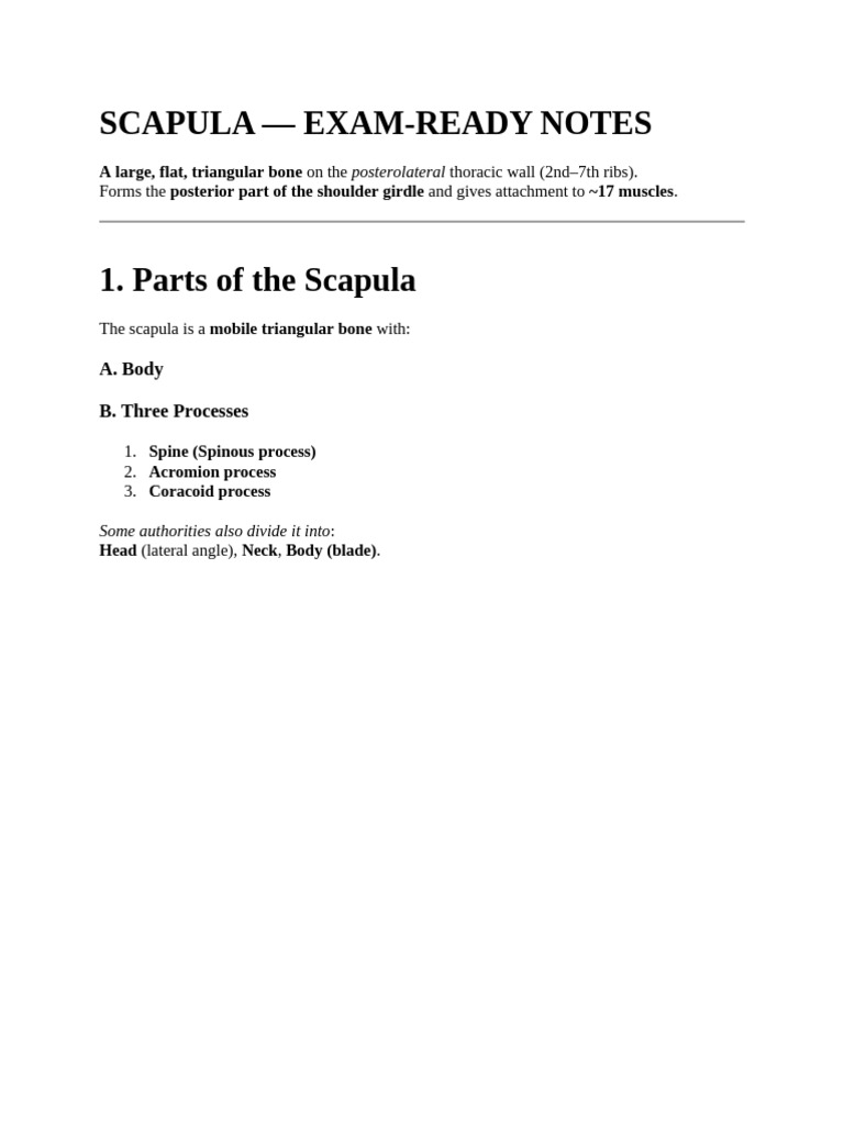 Scapula Anatomy | PDF | Soft Tissue | Limbs (Anatomy)