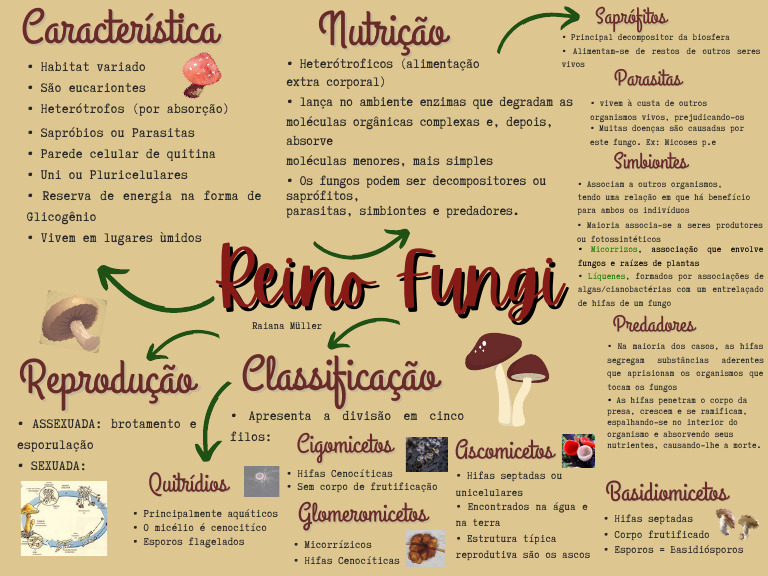 Reino Fungi (1) | PDF | Fungo | Biologia