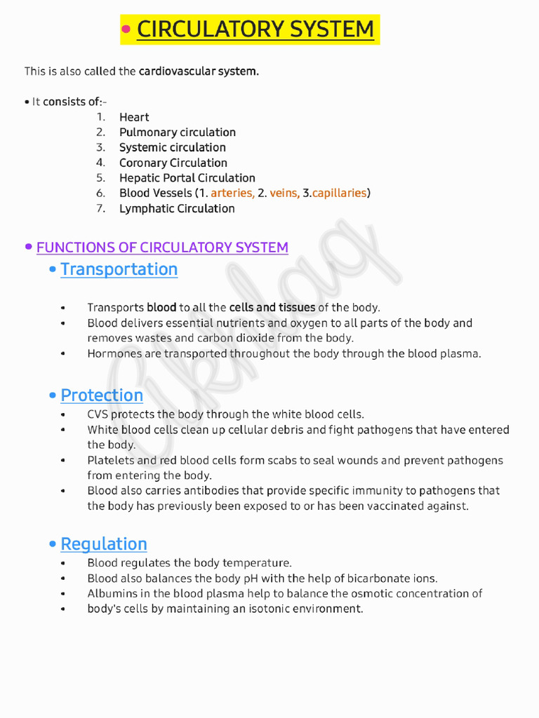 Overview of the Circulatory System | PDF | Lymph | Heart Valve