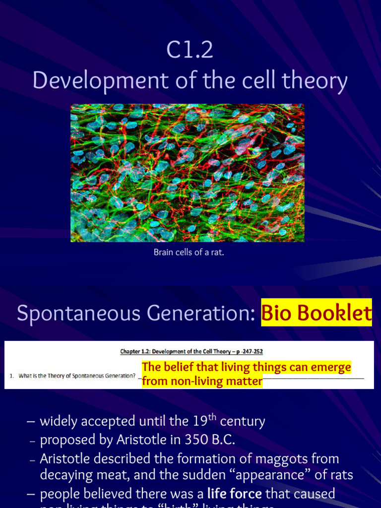 Lesson 3 - Cell Theory grade 10 calgary | PDF | Louis Pasteur | Life ...