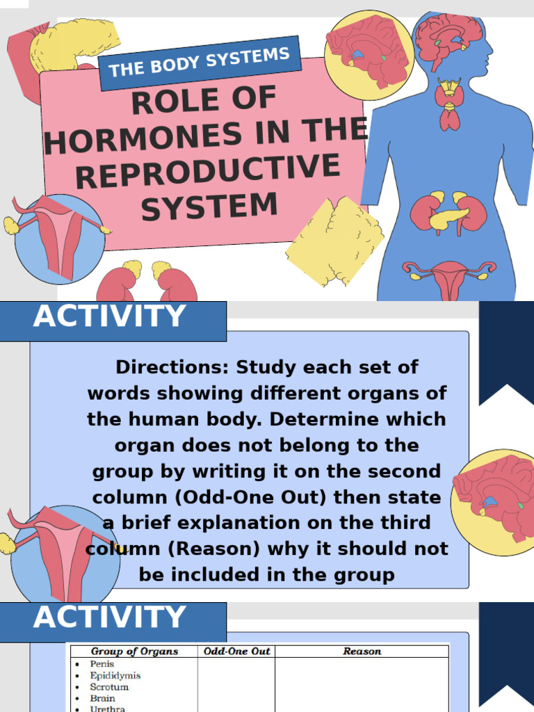 Hormones and the Reproductive System | PDF | Menstrual Cycle ...