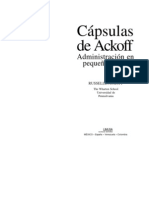 Capsulas de Ackoff