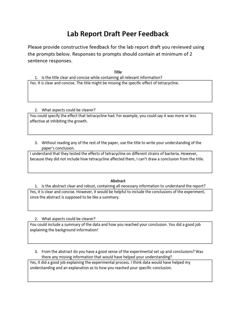 Lab Report Draft Feedback Guide | PDF | Experiment | Information