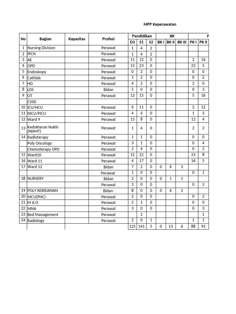 Nursing Division Capacity Overview | PDF