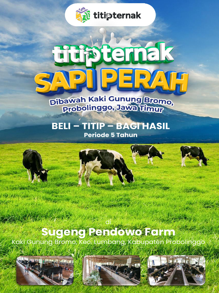 Investasi Peternakan Sapi Perah 5 Tahun | PDF