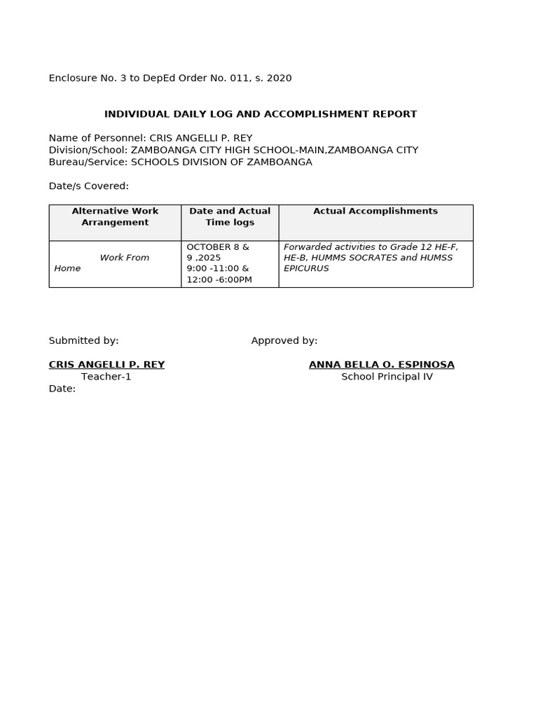 Daily Log and Accomplishment Report | PDF