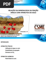 10 Relacao Da Mineralogia Da Fracao Argila Com Atributos Do Solo