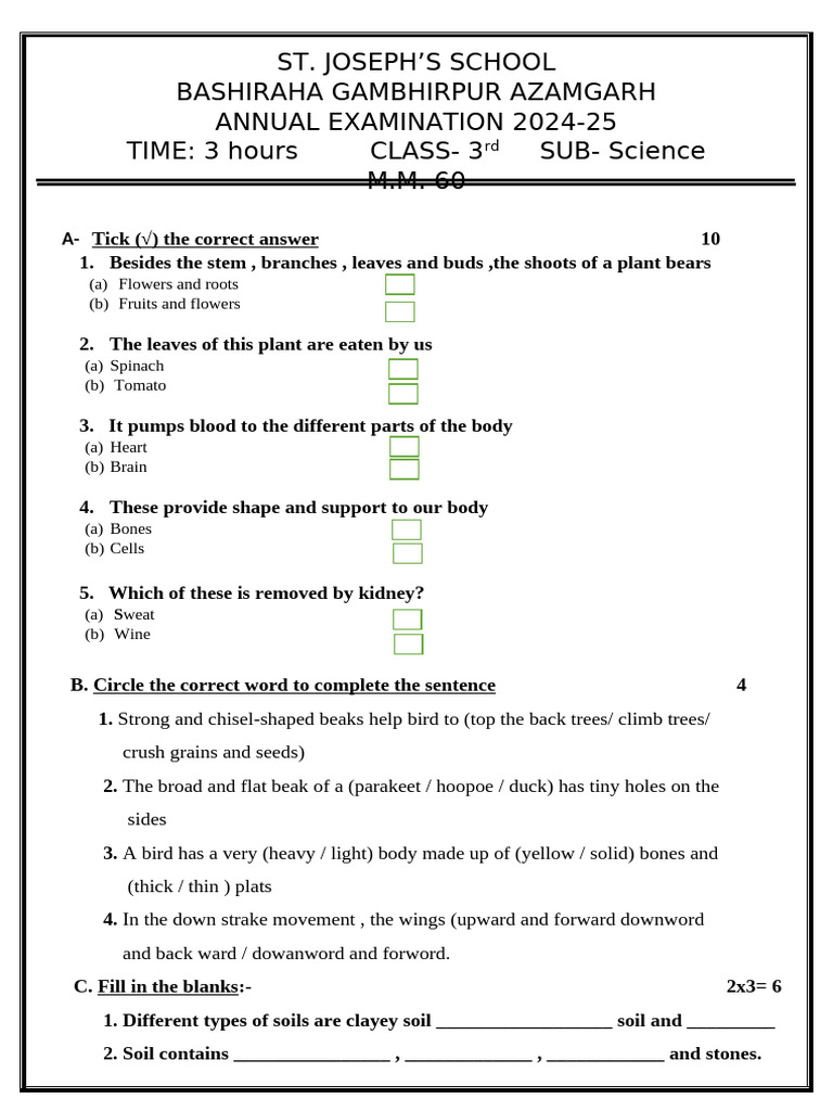 Class 3 Science Exam Paper 2024-25 | PDF
