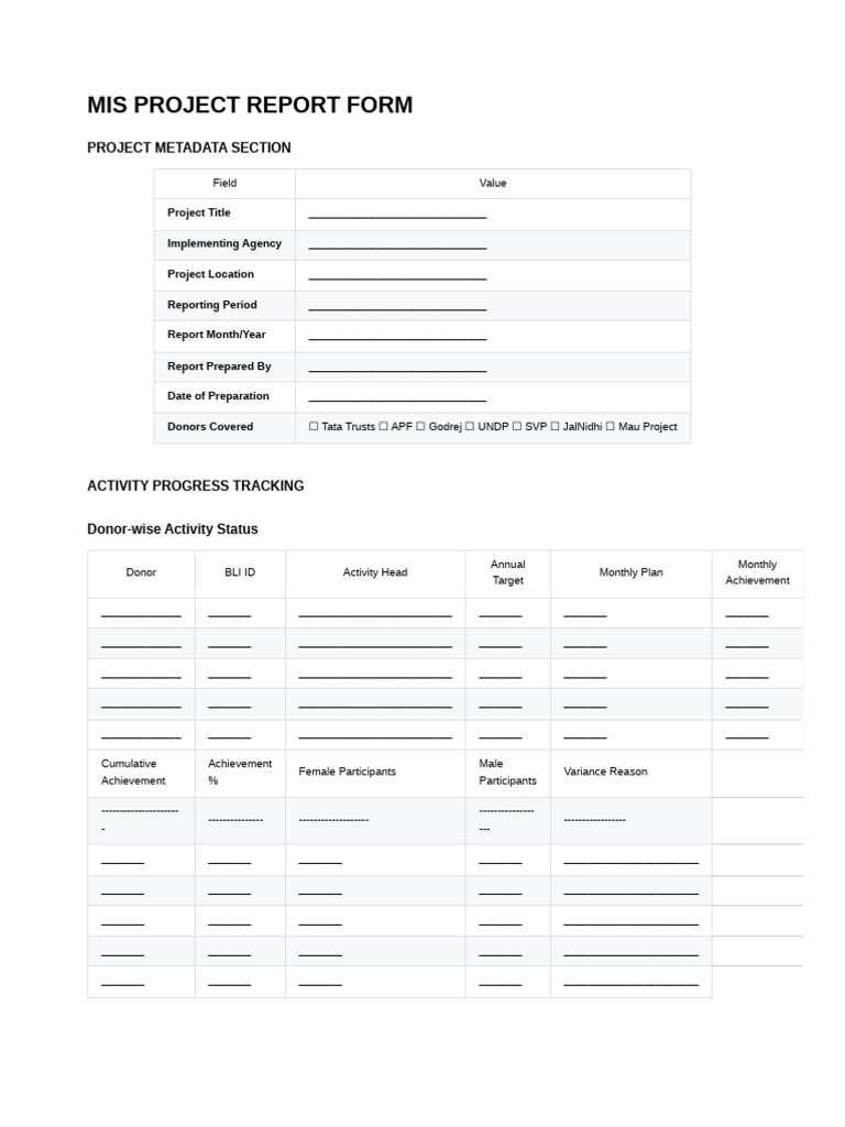 MIS Project Report Form | PDF | Economies
