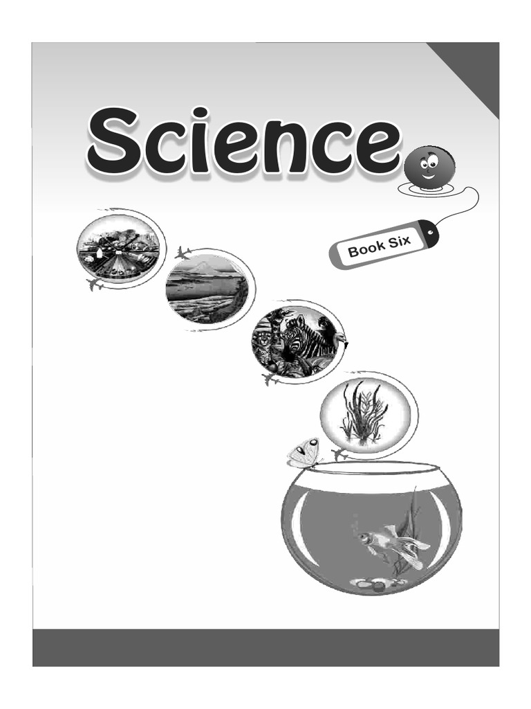 Smart Sceicen Class 6 | PDF | Solubility | Chemical Elements