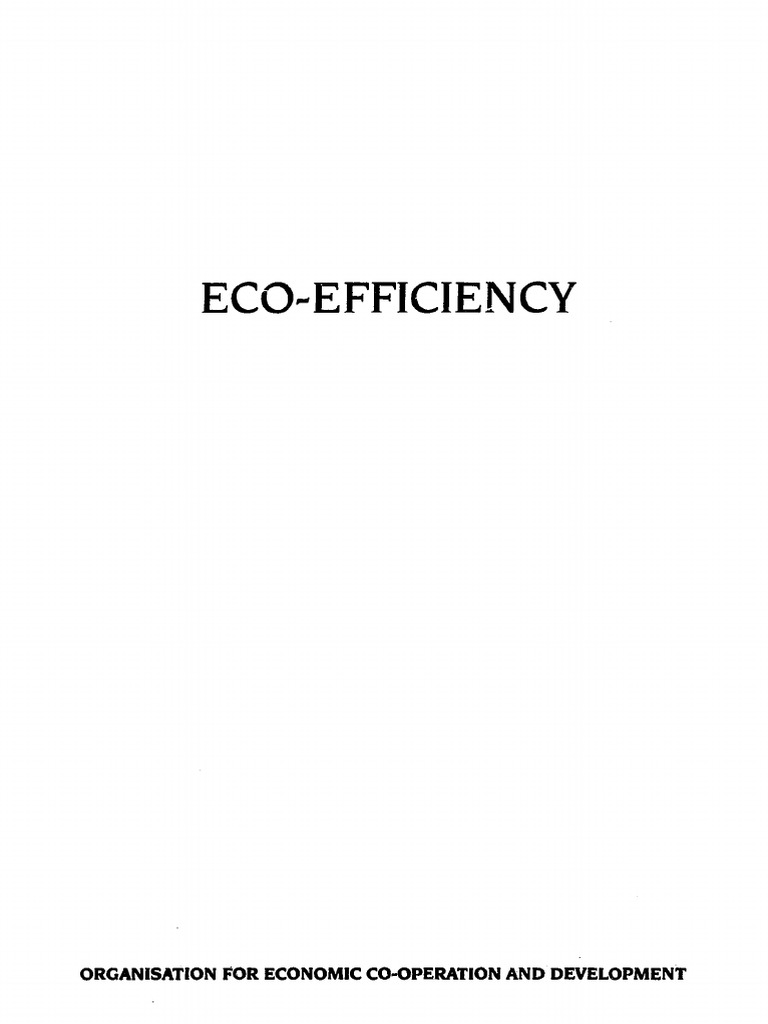 Eco Efficiency | PDF | Sustainability | Economies