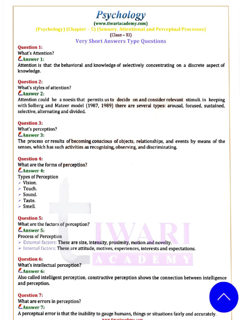 Understanding Attention and Perception | PDF | Perception | Attention