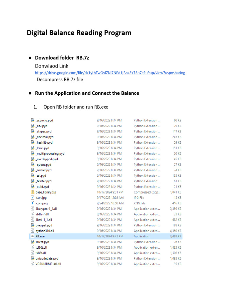 Digital Balance Reading | PDF