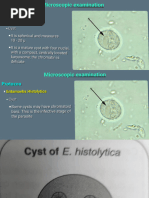 Microscopic Stool Examination of Parasites | PDF | Cell Nucleus | Egg