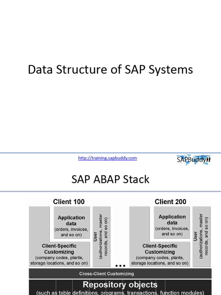 Data Structure of SAP Systems | PDF