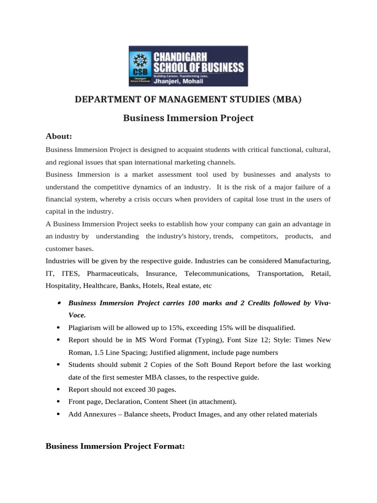 MBA Business Immersion Project Guide | PDF | Business