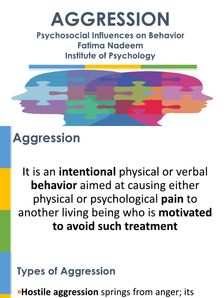 Lecture 8 Aggression | PDF