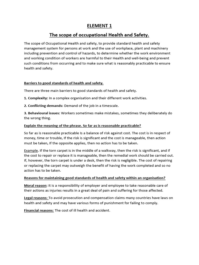 Element 1 | PDF | Occupational Safety And Health | Employment