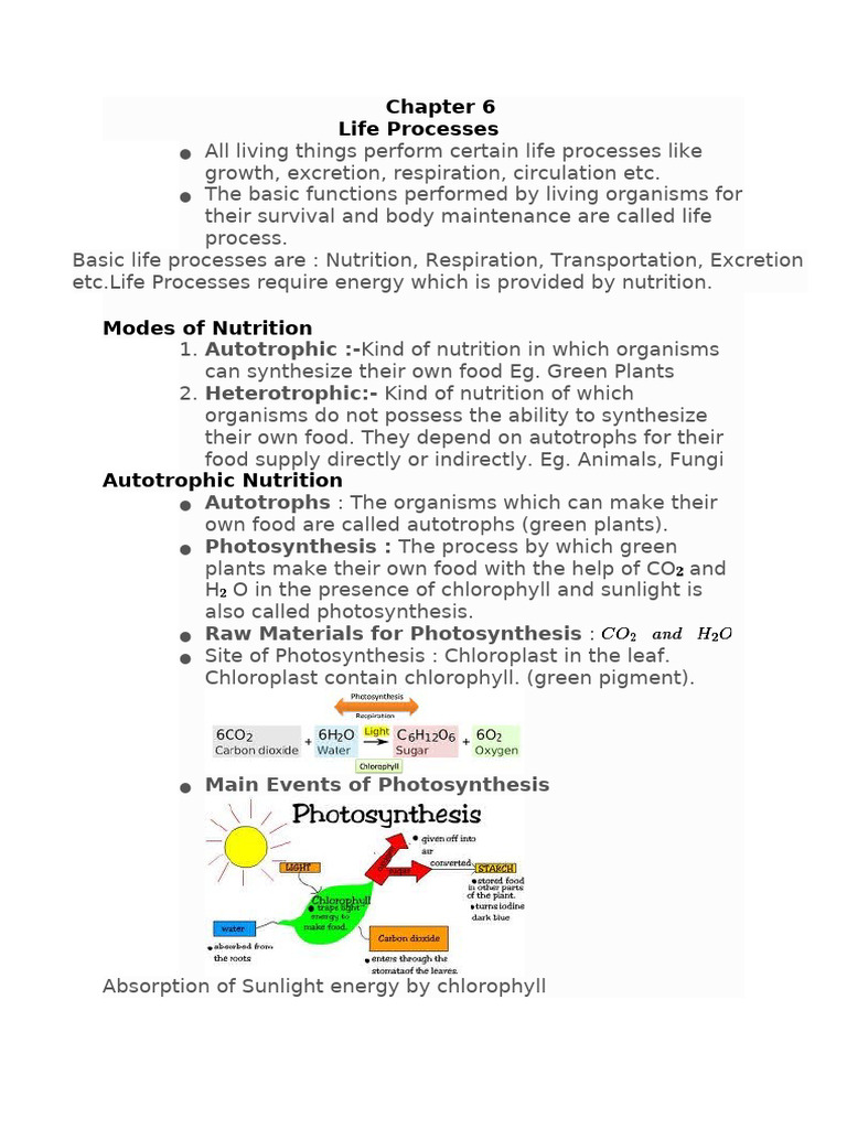 Life Processes in Organisms Explained | PDF | Kidney | Biology