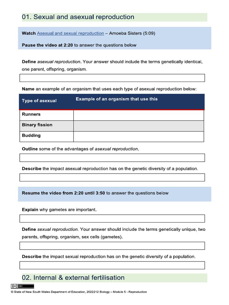 Module 5 | PDF