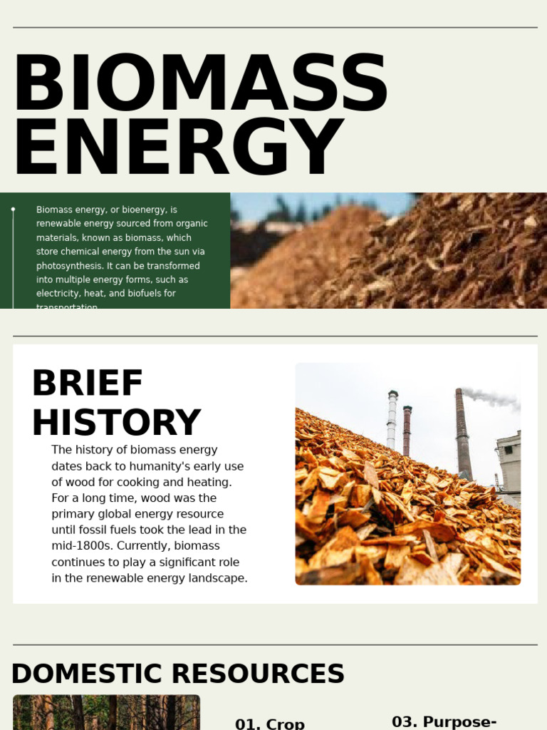 Biomass Energy: Sources and Technologies | PDF | Biofuel | Gasification