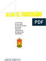 0atentie Traversam