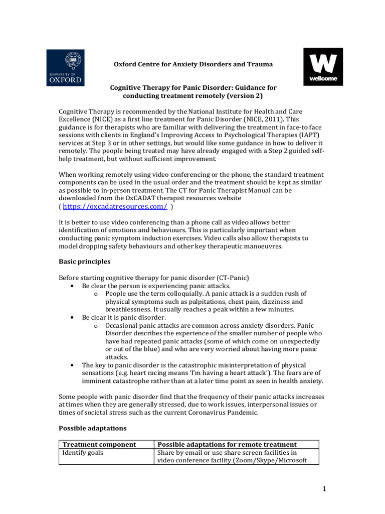CT For Panic Disorder Remote Delivery Guidance v2 | PDF | Panic Attack ...