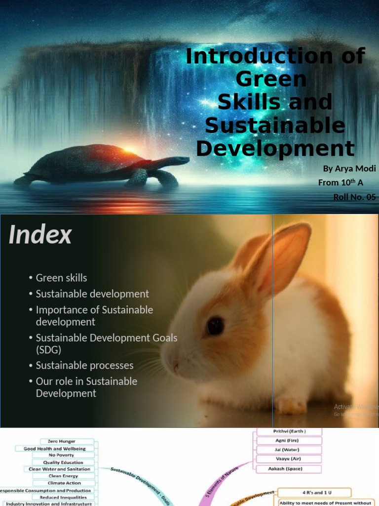 Green Skills for Sustainable Development | PDF | Sustainability ...