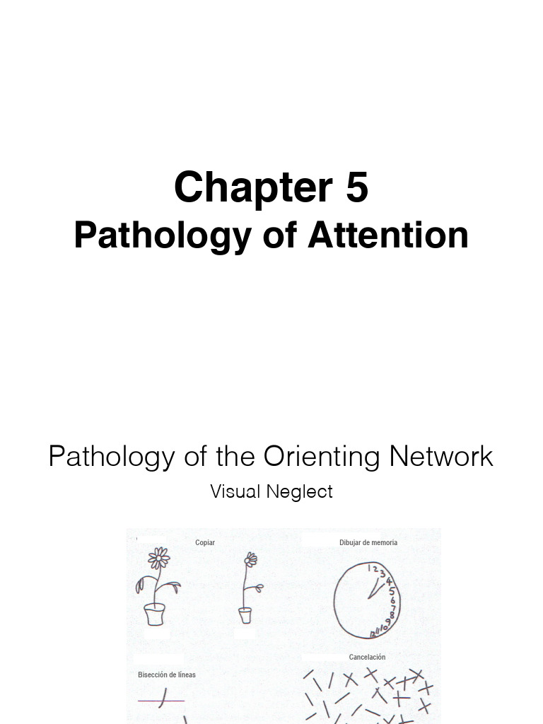 Pathologies of Attention Networks | PDF | Dementia | Schizophrenia