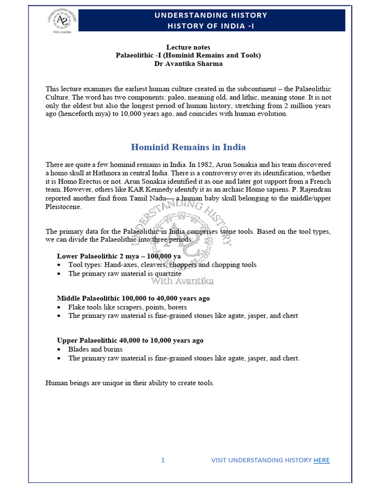 Palaeolithic Tools and Hominid Remains | PDF | Paleolithic | Homo