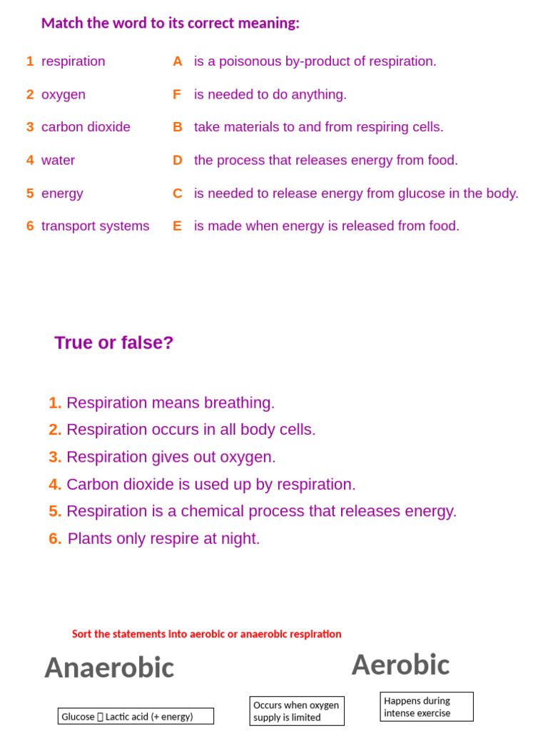 Understanding Respiration and Its Processes | PDF | Cellular ...