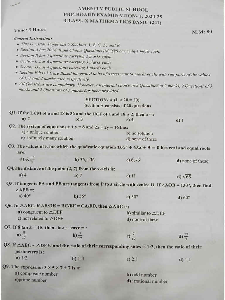 Amenity Pre Board - 1 Maths (Basic) | PDF