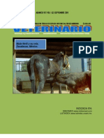 03mosaicismo Linfocitario de Equus Mulus Fertil y
